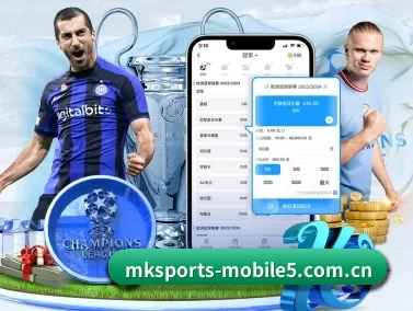 mk体育直播官网 APP 界面
