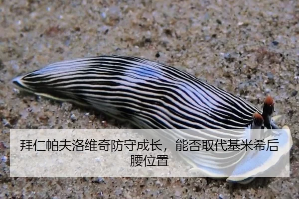 bai-ren-pa-fu-luo-wei-qi-fang-shou-cheng-zhang-neng-fou-qu-dai-ji-mi-xi-hou-yao-wei-zhi-3-140.jpg