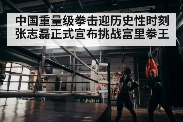 boxer training