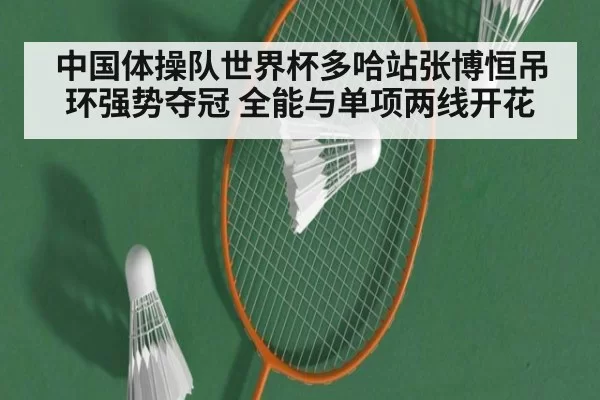 中国体操队世界杯多哈站张博恒吊环强势夺冠 全能与单项两线开花